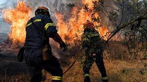 Çanakkale Ayvacık'ta Orman Yangını